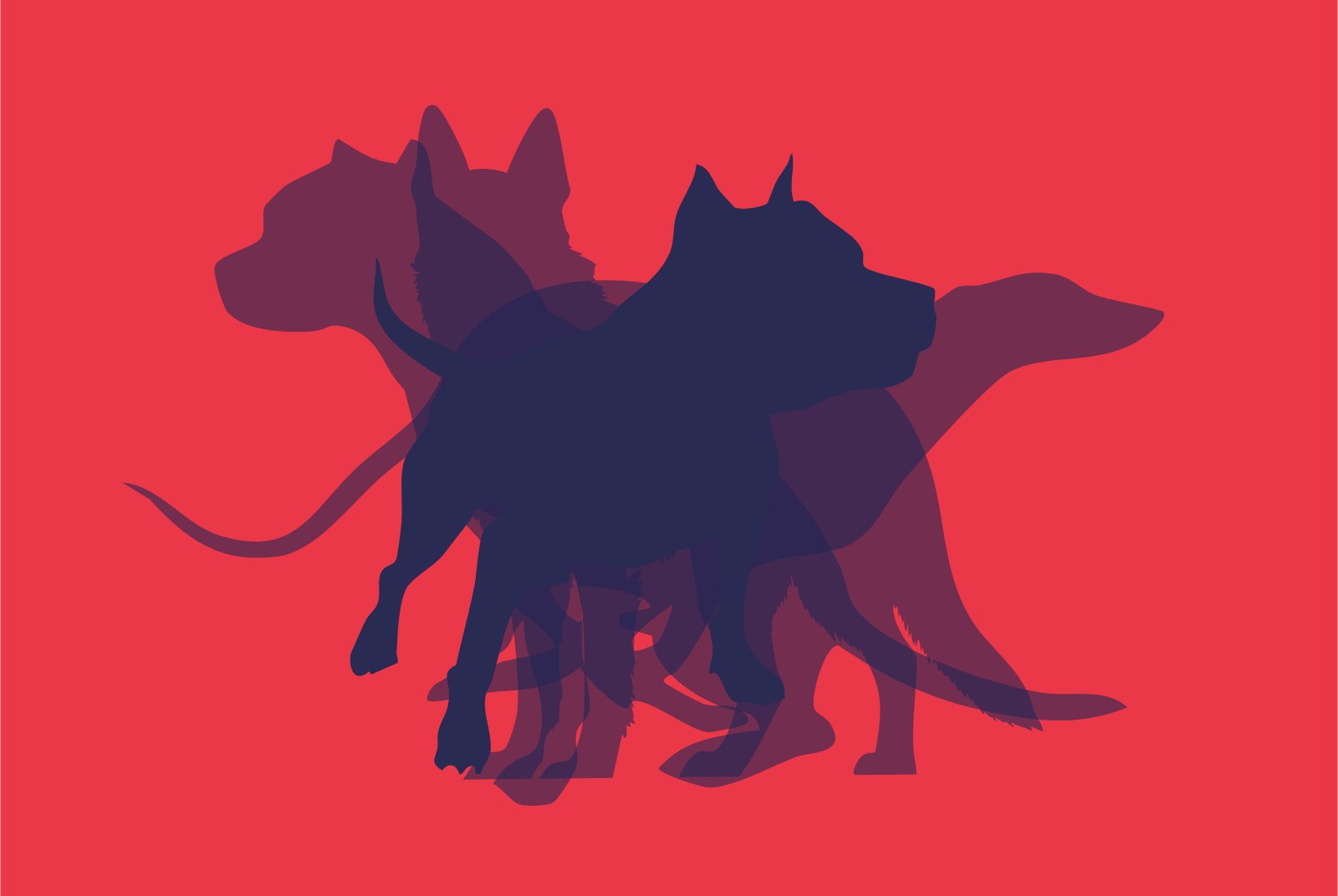 Ilustración de tres perros superpuestos, identidad de Volkom